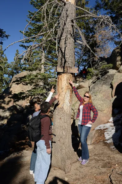 DSC_5185 (Large).JPG